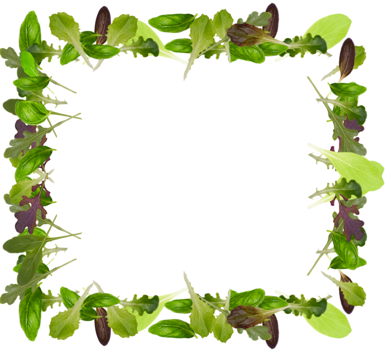 salad