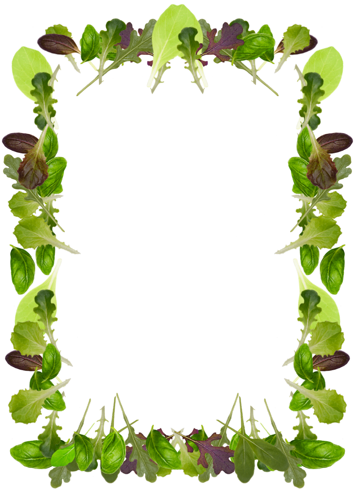 salad